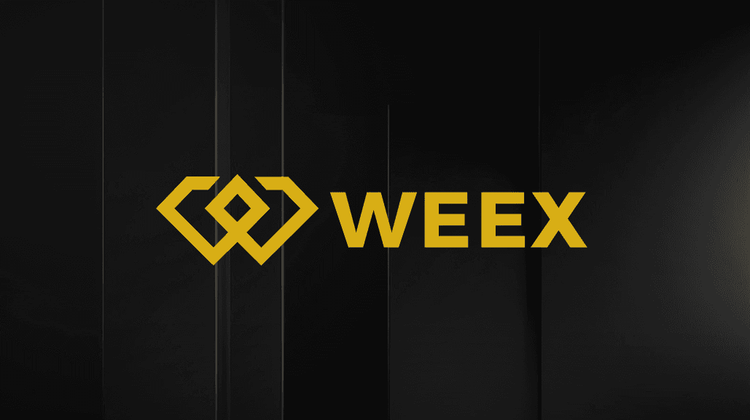 Trade BYTE USDT: ByteNova (BYTE) Coin Lists on WEEX