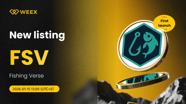 FSV USDT Live: Fishing Verse (FSV) Coin Listing on WEEX Spot