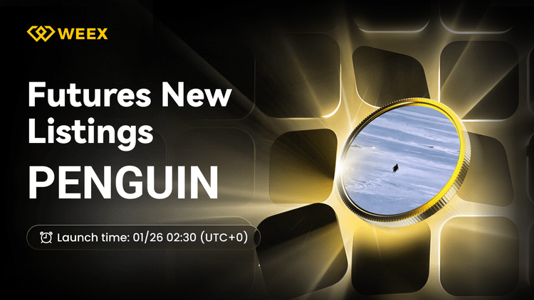 PENGUIN USDT Perpetual Contract Listed on WEEX Futures