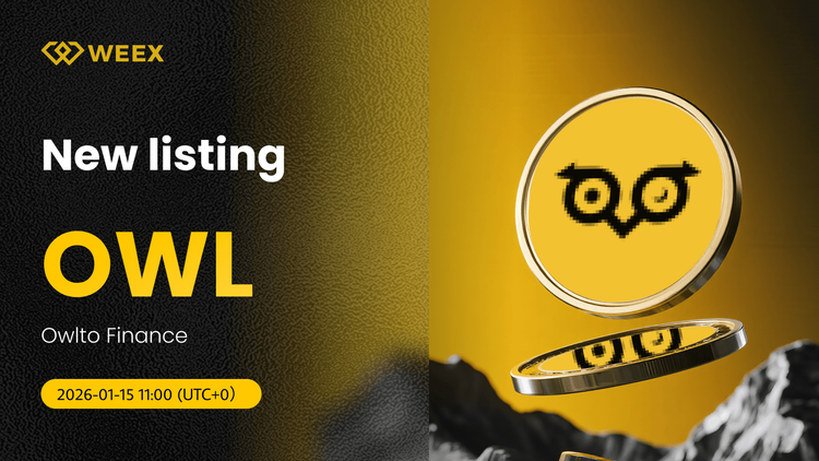 OWL USDT Live: Owlto Finance Listed on WEEX Exchange